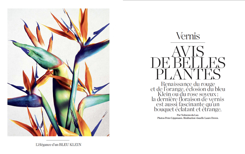 Philippe Gruson beauty